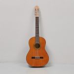 1101 8108 Gitarr